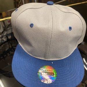 Flat Bill (Blue&Grey)